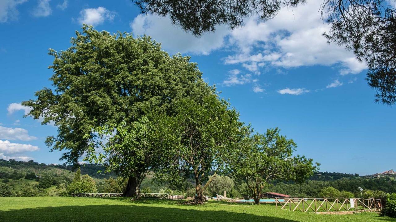 Agriturismo Bio Le Macchie Alte Manciano Bagian luar foto